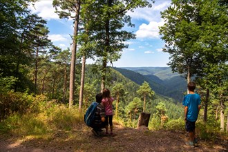 Father with his children hiking in the Palatinate Forest