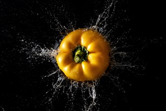 A yellow pepper in the middle of an explosive water splash shot, dark background