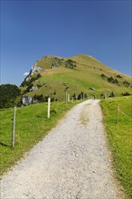Hiking trail to Niederbauen Kulm (1923m), Lake Lucerne, Canton Uri, Switzerland, Lake Lucerne, Uri,