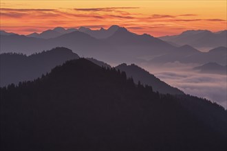 Mountain peak above clouds at sunrise, backlight, haze, summer, view from Jochberg to