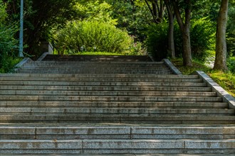 Low angle view of concrete stairs leading into woodland park on sunny afternoon in South Korea