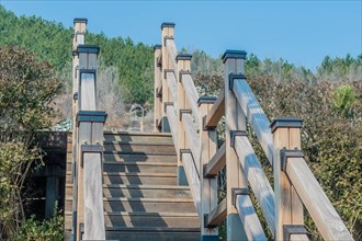 Wooden stairs into urban park under clear blue sky