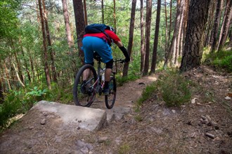 Mountain biker riding steps on a single trail near Weinbiet in the Palatinate Forest, Germany,