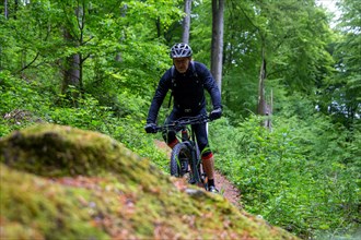 Mountain biker on tour in the central Palatinate Forest near Lambertskreuz