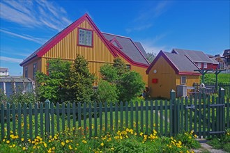 Old town of Nuuk, house with trees and flowering meadow, Greenland, Denmark, North America