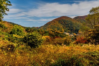 Landscape of mountain valley with trees in autumn colors with Buddhist temple in distance in South