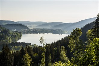 Lake and mountains, Titisee, Black Forest, Baden-Wuerttemberg, Germany, Europe