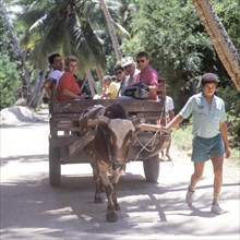 Seychelles, La Digue, means of transport, oxcart, Africa