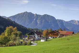 Graseck Alm, Garmisch-Partenkirchen, Werdenfelser Land, Upper Bavaria, Bavaria, Germany, Europe