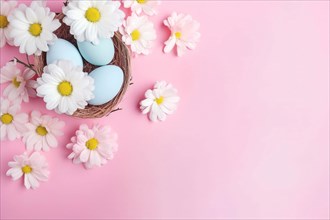 Top view of blue Easter eggs in nest with large white flowers on pink background with copy space.