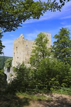 Ruin Reussenstein, ruin of a rock castle above Neidlingen, rock above the Neidlingen valley,