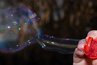 Soap bubble blowing ring with coloured film of soapy water in front of bushes