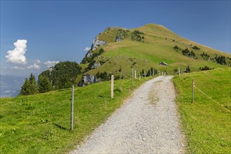 Hiking trail to Niederbauen Kulm (1923m), Lake Lucerne, Canton Uri, Switzerland, Lake Lucerne, Uri,