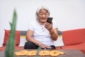 Older woman of Japanese ethnicity with grey hair looking at her mobile phone screen, sitting at