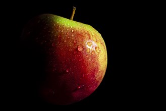 Red apple with green spots and water droplets, dark background