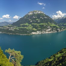 View from Seelisberg over Lake Lucerne to the Fronalpstack, Canton Uri, Switzerland, Seelisberg,