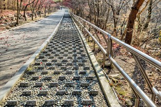 Sidewalk with concrete risers beside walkway in wilderness mountain park in South Korea