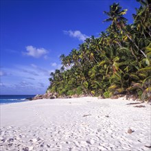 Seychelles, Fregate, blue water and palm trees on the white sandy beach of Anse Victorin, Africa