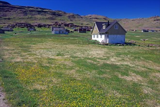 Houses are scattered across a flowering meadow in a barren landscape, Igaliku, Greenland, Denmark,