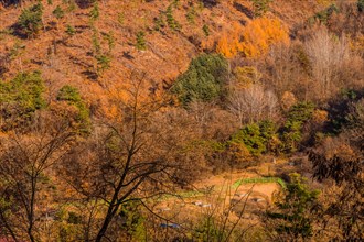 Small family graveyard surrounded by green fence in valley as seen from top of mountain on autumn