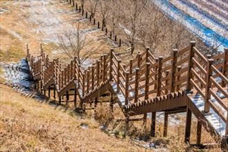 Wooden staircase on side of hill on cold winter day in South Korea