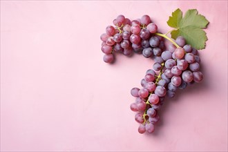 Grapes on pink background. KI generiert, generiert AI generated