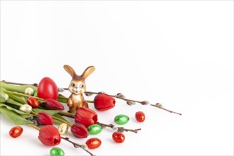 A bunny sits next to red tulips and colourful chocolate eggs, white background, copy room
