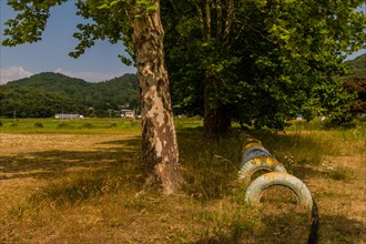Row of painted tires planted in ground under shade trees in field of tall grass in South Korea