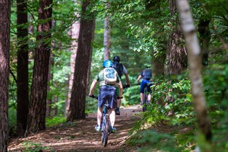 Group of mountain bikers in the Palatinate Forest