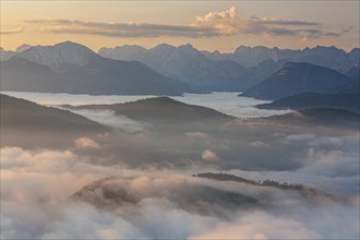 Mountain peak above clouds at sunrise, haze, summer, view from Jochberg to Karwendel mountains,