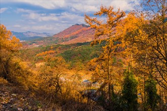 Mountains and valley with trees in beautiful fall colors under low level clouds in South Korea