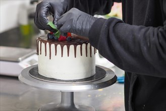 Patry chef black gloved hand artistically arranging fresh berries on top of a chocolate drip cake