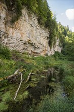 Wutach Gorge, Bonndorf, Baden-Wuerttemberg, Black Forest, Germany, Europe