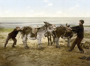 Man trying to persuade some stubborn donkeys to move on, England, c. 1890, Historic, digitally