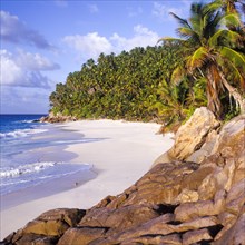 Seychelles, Fregate, blue water and palm trees on the white sandy beach of Anse Victorin, Africa