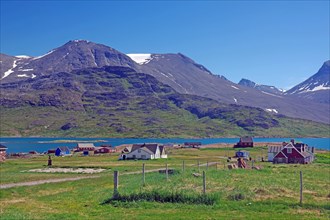 Houses are widely scattered in a meadow by a fjord in a barren landscape, narrow track, Igaliku,