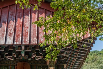 Low angle view side of oriental temple gate behind lush green leaves on tree branch in South Korea