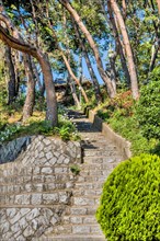 Stone and concrete stairway on hillside under shade trees in rural park in South Korea