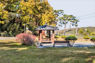 Landscape of roadside park with bushes and plants in autumn colors in South Korea