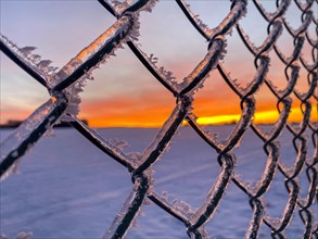 Black ice and hoarfrost on wire mesh fence at sunset, Close Up, Ellern, Rhineland-Palatinate,