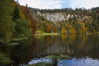 Lake and autumnal coloured forest, Feldsee, Feldberg, Black Forest, Baden-Wuerttemberg, Germany,