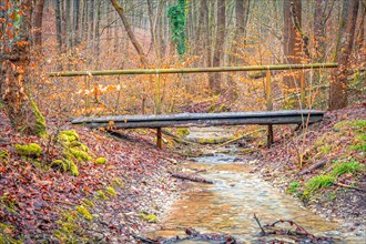 Small old wooden bridge over a stream in the Rautal valley in the forest, Jena, Thuringia, Germany,