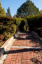 Brick walkway into garden with large sculptured tree in middle and blue sky in background in South