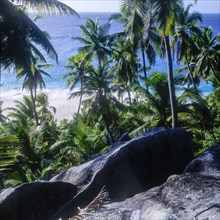 Seychelles, Fregate, clear blue water palm trees and white sandy beach Anse Victorin, Africa