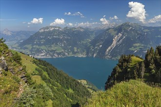 View from Niederbauen Kulm (1923m) to Fronalpstock (2123m) and Sisikon, Lake Lucerne, Canton Uri,