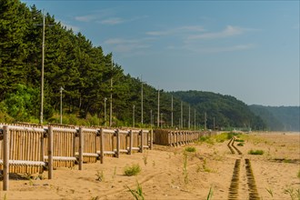 Wooden fence and walking path on beach in South Korea under beautiful blue sky in South Korea
