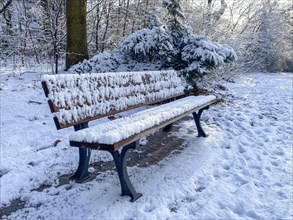 Snow-covered park bench in Grueneburgpark, Westend-Nord, Frankfurt am Main, Hesse, Germany, Europe