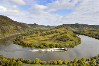 River cruise ship passes the Moselle bend near Bremm am Calmont, Moselle, Rhineland-Palatinate,