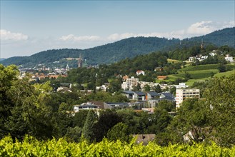 City view, in the foreground the Vauban neighbourhood, Freiburg im Breisgau, Black Forest,