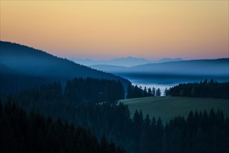 Morning mist, morning mood, sunrise, view from Thurner, Swiss Alps in the background, Black Forest,